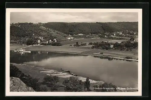 AK Diesbar-Nieschütz, Gesamtansicht mit Golkwald