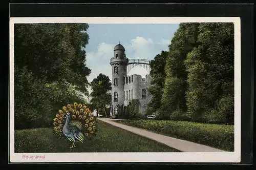 AK Berlin-Zehlendorf, Pfaueninsel, Gasthaus von A. Prinz