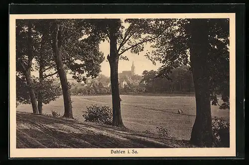 AK Dahlen i. Sa., Totale vom Waldweg aus gesehen