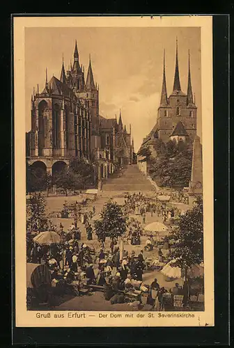 AK Erfurt, Markttreiben vor dem Dom, St. Severinskirche