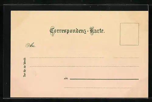 Künstler-AK Meran, Partie am Schloss