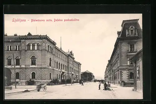 AK Ljubljana, Bleiweisova cesta, Dezelno predsednistvo