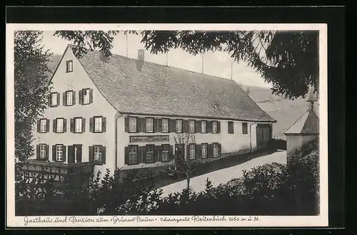AK Raitenbuch /Schwarzwald, Gasthaus und Pension zum Grünen Baum