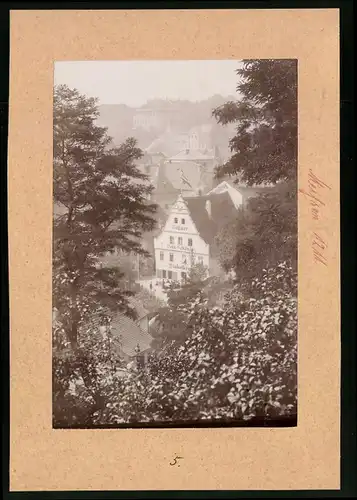 Fotografie Brück & Sohn Meissen, Ansicht Meissen i. Sa., Blick aus dem Wald auf das Restaurant Winkelkrug, Weinschänke