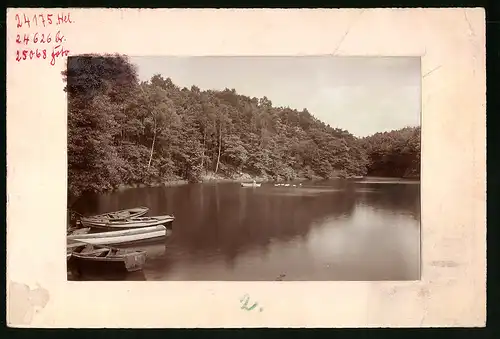 Fotografie Brück & Sohn Meissen, Ansicht Niederau bei Meissen, Ruderboot auf dem See an der Buschmühle