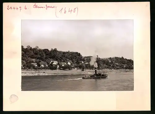 Fotografie Brück & Sohn Meissen, Ansicht Kleinzadel / Elbe, Elbschlepper mit Blick auf den Ort