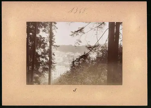 Fotografie Brück & Sohn Meissen, Ansicht Marienbad, Blick aus dem Wald auf die Stadt und nach der Carolahöhe