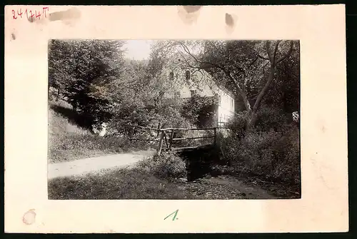 Fotografie Brück & Sohn Meissen, Ansicht Niederau, Partie an der Buschmühle im Wald