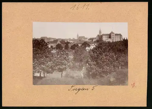 Fotografie Brück & Sohn Meissen, Ansicht Torgau / Elbe, Blick in die Stadt von Süden