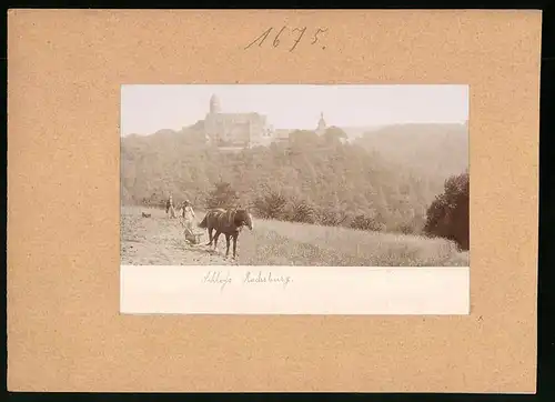 Fotografie Brück & Sohn Meissen, Ansicht Rochsburg, Bauer mit Pferdefplug bearbeitet seinen Acker, Blick zum Schloss