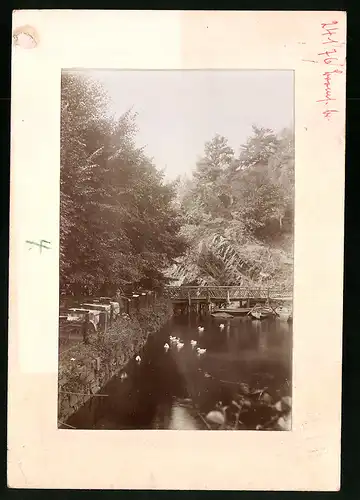 Fotografie Brück & Sohn Meissen, Ansicht Niederau, Partie am Restaurant Buschmühle mit See und Ruderboot