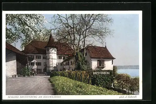 AK Seengen, Schloss Brestenberg am Hallwilersee