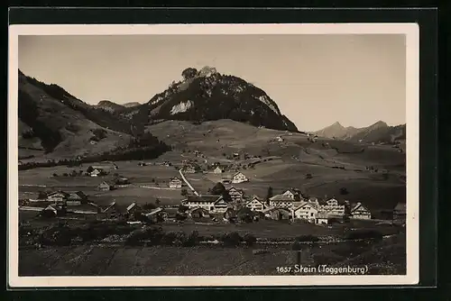 AK Stein /Toggenburg, Ortsansicht vor Bergpanorama