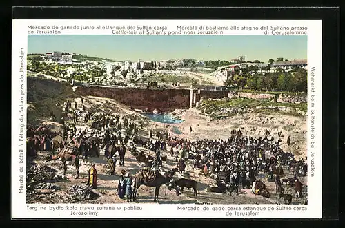 AK Jerusalem, Cattle-fair at Sultan`s pond near Jerusalem