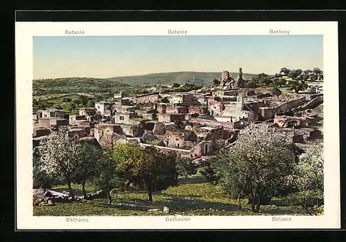 AK Bethanien, Teilansicht von einem Garten aus
