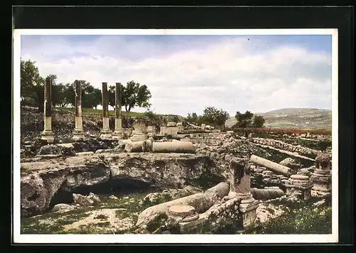AK Samaria, Ruinenfeld mit Säulenresten