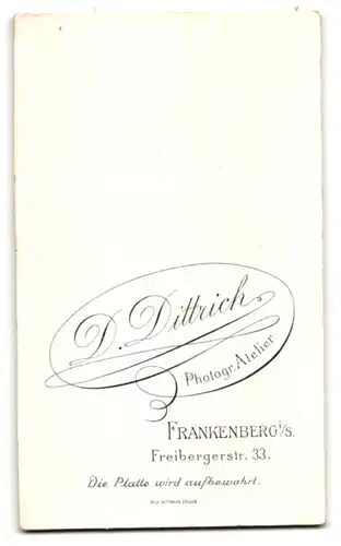 Fotografie D. Dittrich, Frankenberg i.S., Freibergerstrasse, Fräulein mit hochgesteckten Haaren