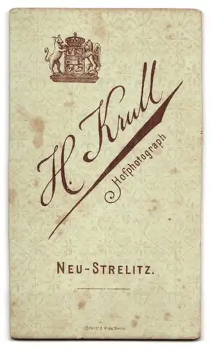 Fotografie H. Krull, Neu-Strelitz, Herr in zeitgenössischem Anzug mit Schnauzbart an einer Säule