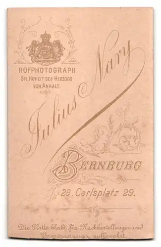 Fotografie Julius Nary, Bernburg, Carlsplatz 29, Bub in eleganter Kleidung mit Sessel