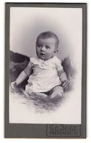 Fotografie G. E. Seige, Pössneck i. Th., Süsses Kleinkind in weissem Kleidchen auf einem Pelz