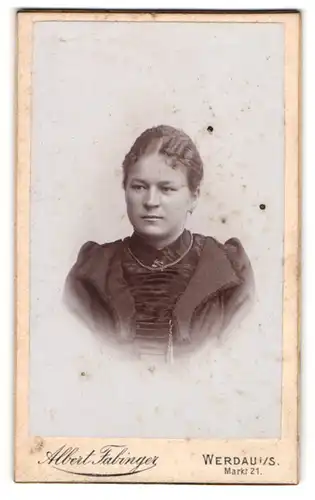 Fotografie Albert Fabinger, Werdau i. S., Markt 21., Dame in dunkler Kleidung