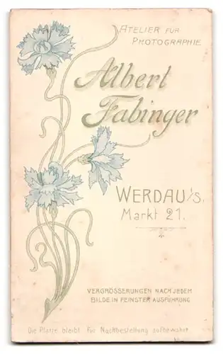 Fotografie Albert Fabinger, Werdau i. S., Markt 21., Dame in dunkler Kleidung