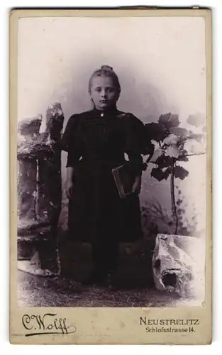 Fotografie C. Wolff, Neustrelitz, Schlossstr. 14, Junges Fräulein in dunklem Kleid mit Buch