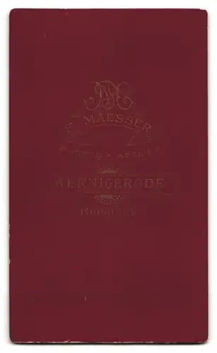 Fotografie F. Maesser, Wernigerode, Burgthor, Herr in elegantem, dunklem Anzug