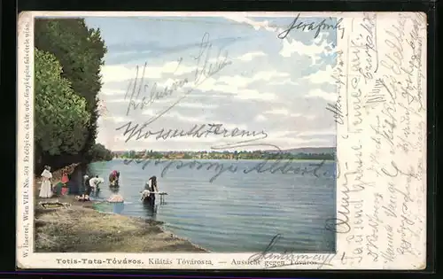 AK Tóváros, Kilátás Tóvárosza