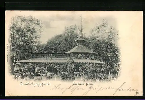 AK Parád-Gyógyfürdö, Csevicze forrás