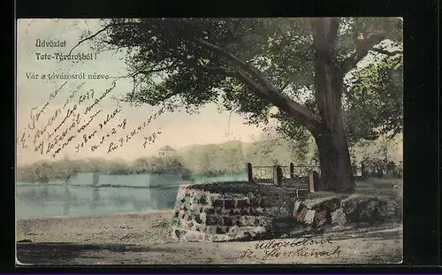 AK Tata-Tóváros, Vár a tóvárosról nézve