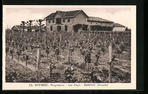 AK Barsac, Ch. Roumieu, Les chais