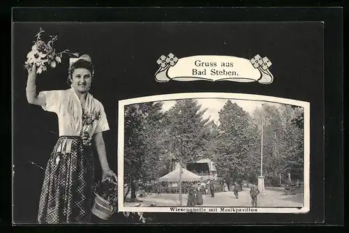 AK Bad Steben, Partie an der Wiesenquelle mit Musikpavillon