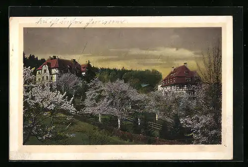 AK Oberdachstetten, Blick auf das Gensungshaus Waldheim im Frühling