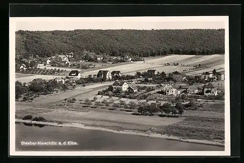 AK Diesbar-Nieschütz a. d. Elbe, Teilansicht