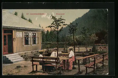 AK St. Andreasberg i. H., Blick auf die Terrasse vom Gasthaus Rinderstall