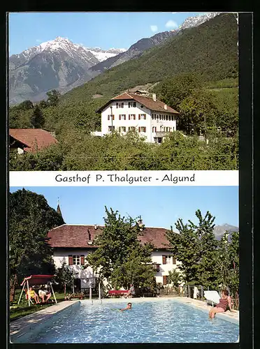 AK Algund bei Meran, Gasthof P. Thalguter mit Schwimmbad