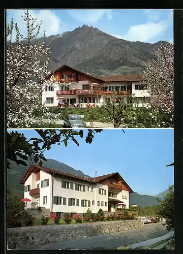 AK Algund bei Meran, Gasthaus & Pension Wolf, Alte Landstrasse 13