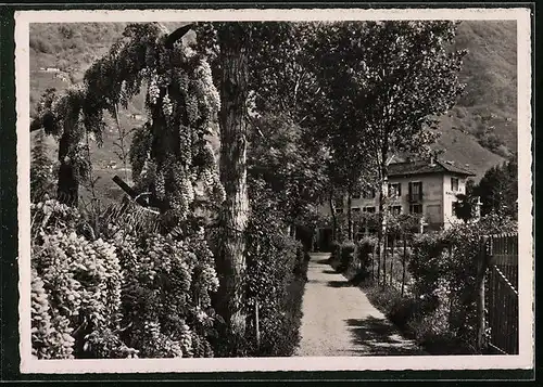 AK Tenero, Hotel-Pensione-Motta