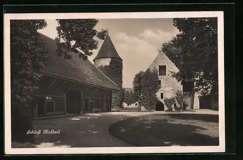 AK Hallwil, Blick auf das berankte Schloss