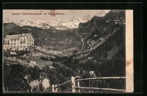 AK Oberrickenbach, Blick auf das Hotel Brisen