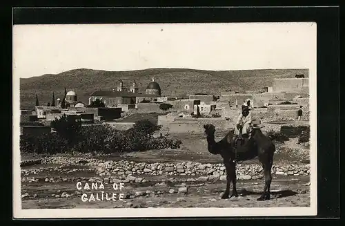 AK Cana of Galilee, Ortsansicht mit Anwohner auf Kamel