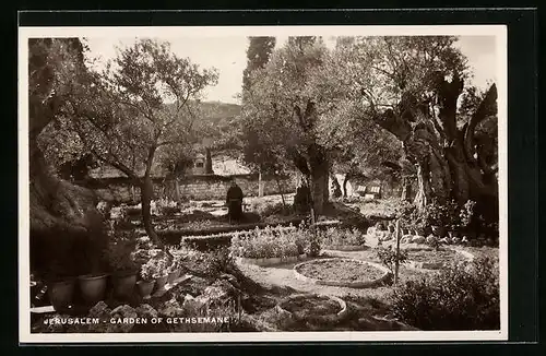 AK Jerusalem, Garten von Gethsemane