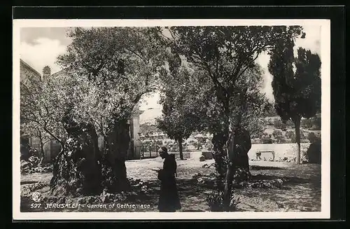 AK Jerusalem, Garten of Gethsemane