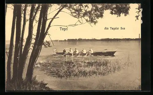 AK Berlin-Tegel, Sportruderer auf dem Tegeler See