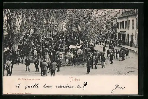 AK Tarbes, La foire aux chevaux