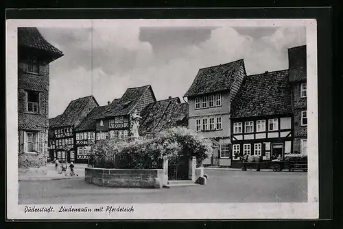 AK Duderstadt, Strasse Lindenzaun mit Pferdeteich