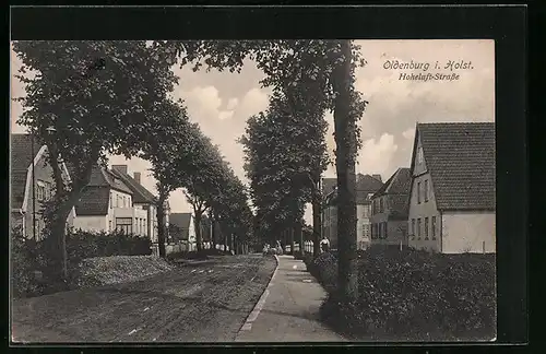 AK Oldenburg i. Holst., Hoheluft-Strasse mit Strassenbäumen