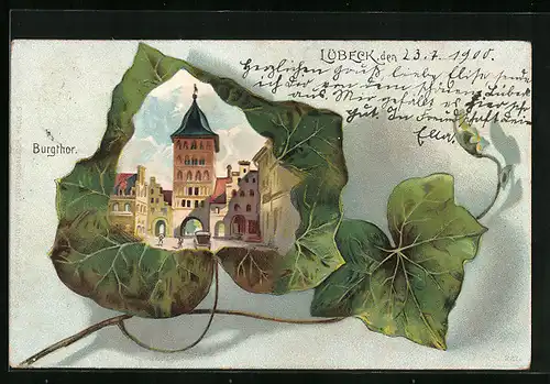 Passepartout-Lithographie Lübeck, Burgtor im Weinblatt