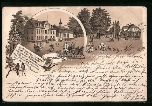 Lithographie Bad Rehburg, Strassenpartie mit Gebäudeansicht und Pferdewagen